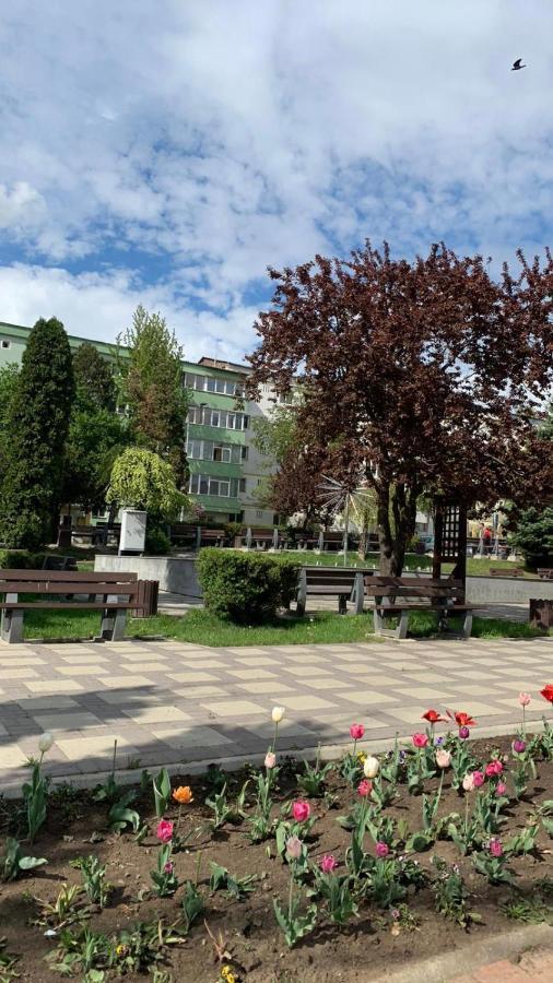Best Apartment City Hall Szucsáva Kültér fotó